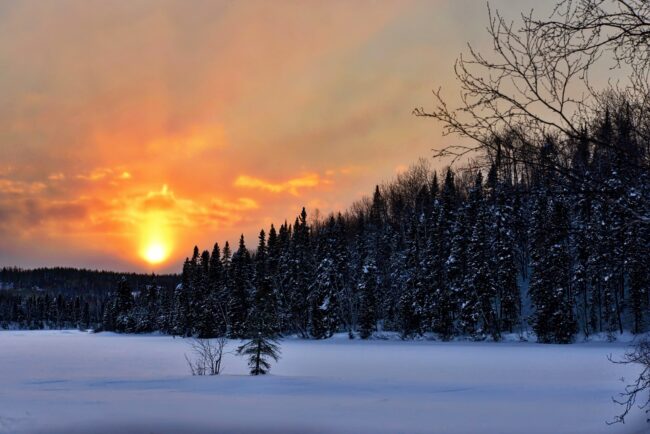 landscape-gcc7419982_1920